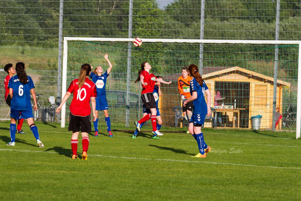 Bild 278 - B-Juniorinnen FSC Kaltenkirchen - TSV Schnberg : Ergebnis: 1:1